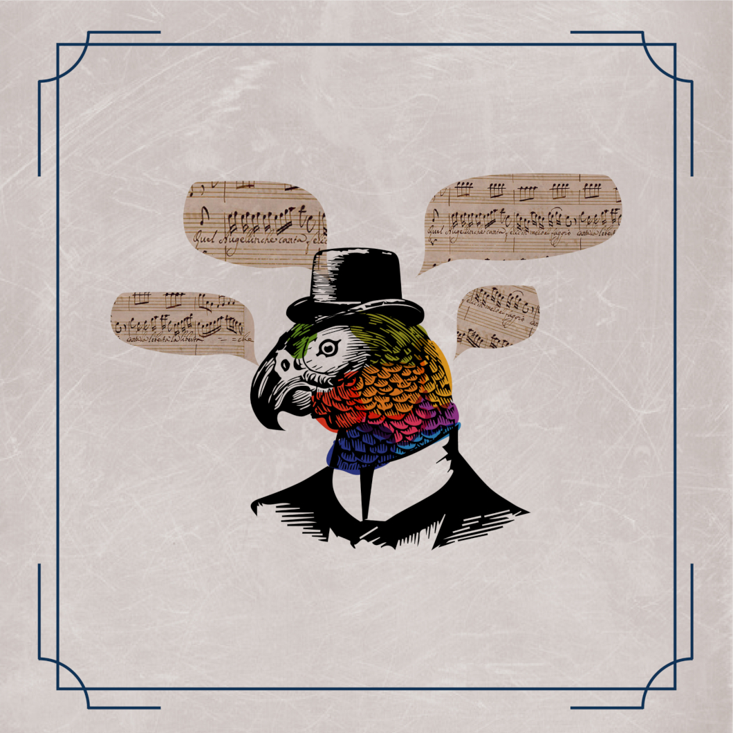 Loros pintados de todos los colores que recitan romanzas italianas