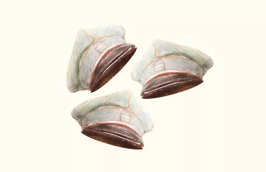 Aracataca - En el corazón de Macondo, un viaje con Aureliano Buendía